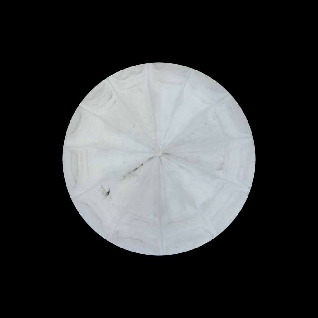 Discmania Logic view 2